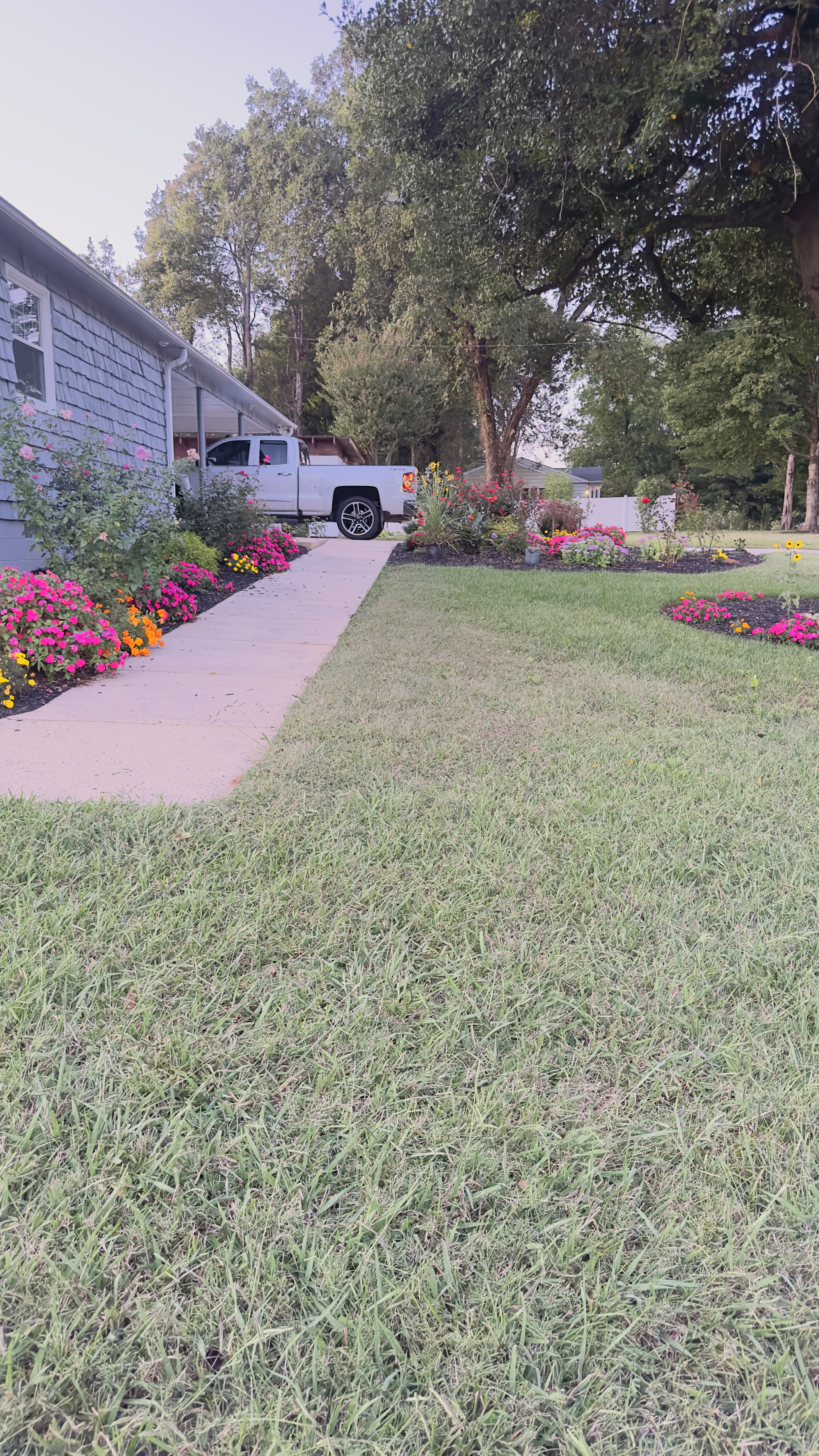 A manicured front lawn with clean edges and colorful garden beds completed by Maldo A Landscaping